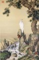 Lang pájaro blanco brillante cerca de la cascada tradicional China